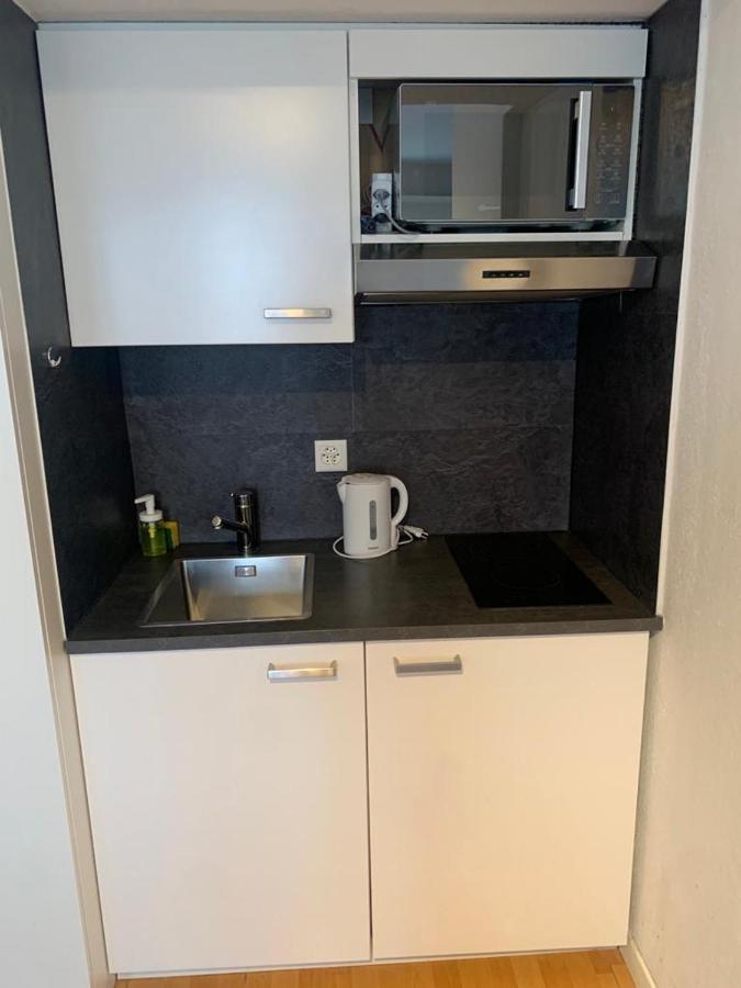 Cozy Studio Apartment Unit 11 In Center Of Zürich Eksteriør bilde